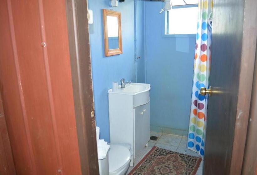 带2个双人床的标准工作室, Coyunche Cabañas Y Camping Laja & San Rosendo