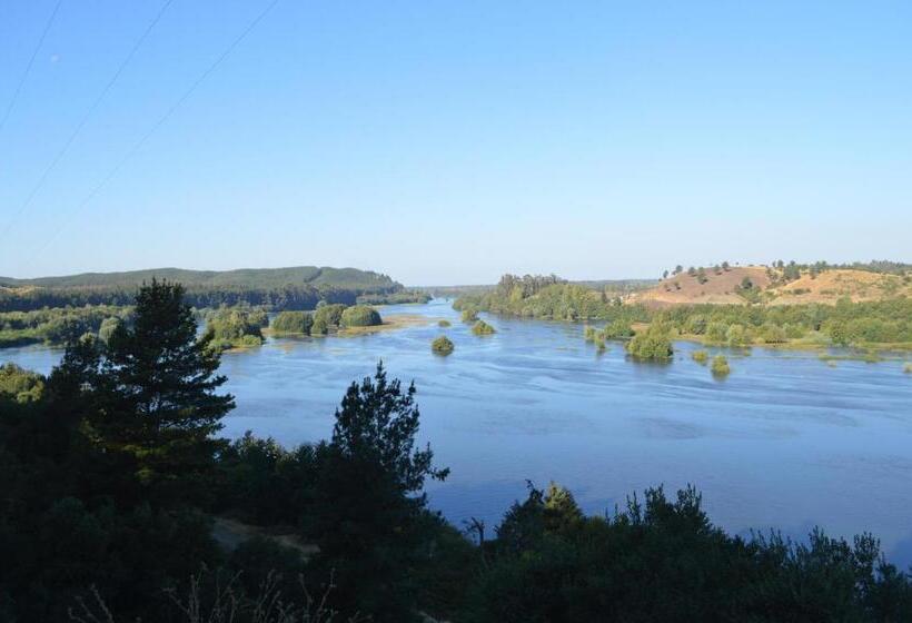 带2个双人床的标准工作室, Coyunche Cabañas Y Camping Laja & San Rosendo