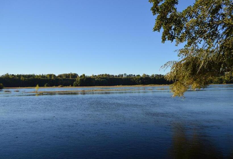 带2个双人床的标准工作室, Coyunche Cabañas Y Camping Laja & San Rosendo