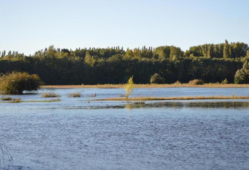 带2个双人床的标准工作室, Coyunche Cabañas Y Camping Laja & San Rosendo