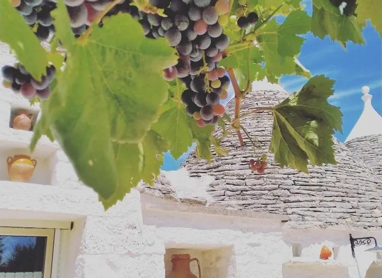 コンフォートトリプルルーム, B&b Masseria Nuove Caselle