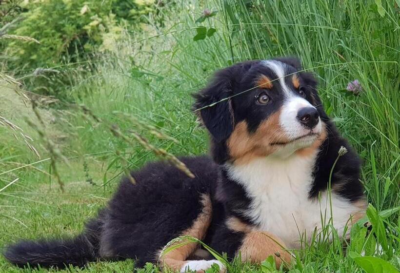 סטודיו סטנדרטי נוף לגינה, Bnb Mönthal Im Jurapark