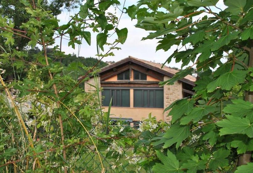 스탠다드 룸 킹사이즈 침대, Agriturismo Petrarosa
