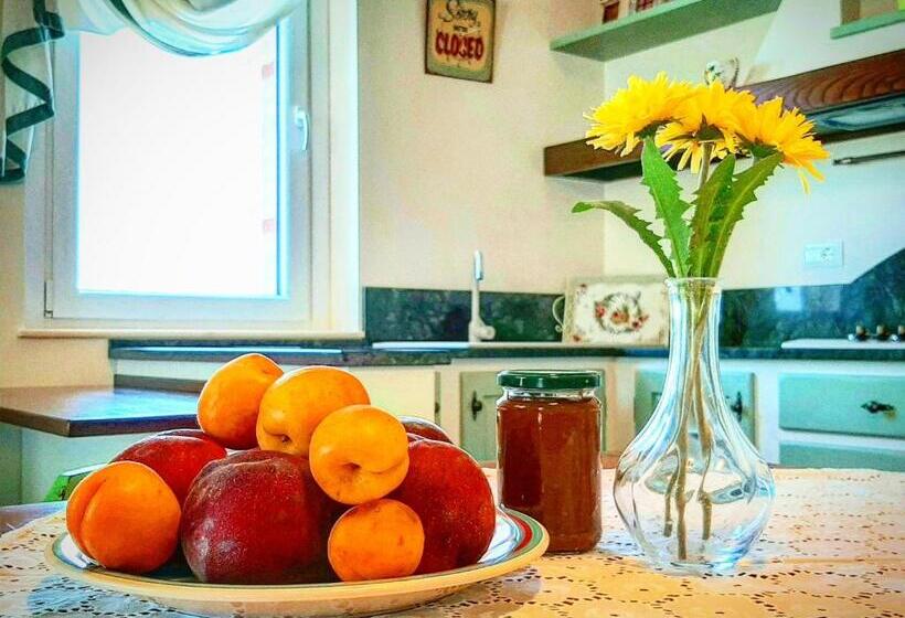 آپارتمان 1 خوابه همکف, Bio Agriturismo Mare In Campagna