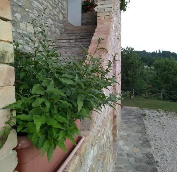 テラス付き１ベッドルームアパートメント, Fattoria Di Rigone