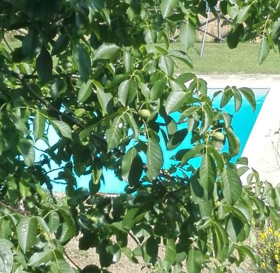 テラス付き１ベッドルームアパートメント, Fattoria Di Rigone