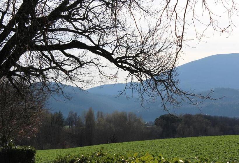 庭の見える１ベッドルームアパートメント, Fattoria Di Rigone