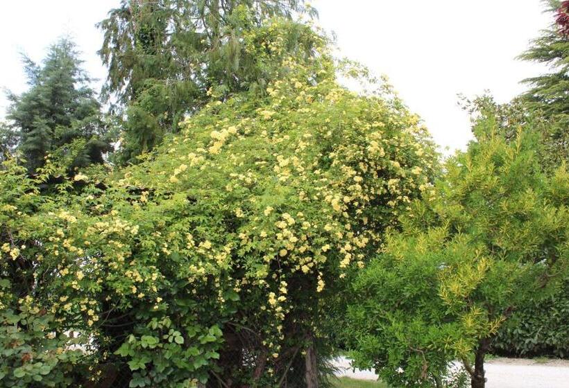 庭の見える１ベッドルームアパートメント, Fattoria Di Rigone