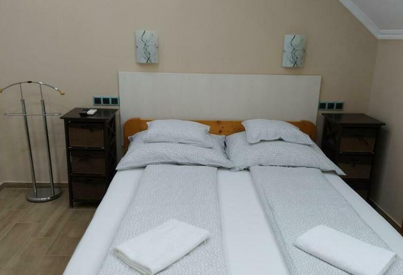 غرفة قياسية, Erika Vendégház