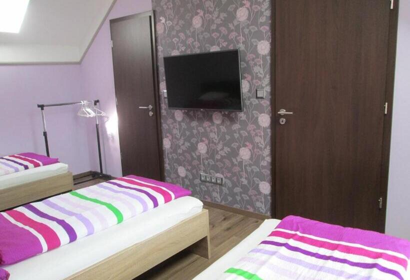 شقة غرفة واحدة, Erika Vendégház