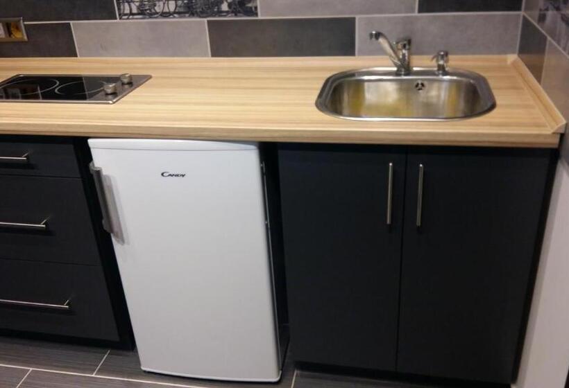 شقة غرفة واحدة, Erika Vendégház