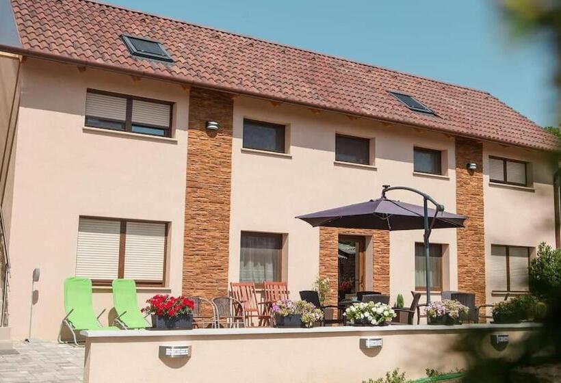 غرفة قياسية, Erika Vendégház