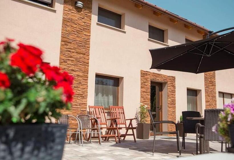 غرفة قياسية مزوَّدة بتراس, Erika Vendégház