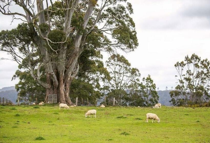 إستوديو قياسى, 3 Hills At The Good Place