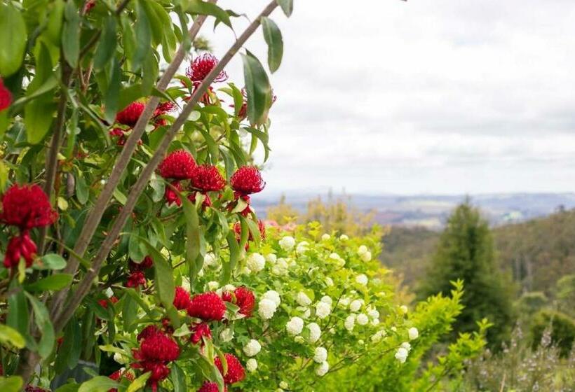 إستوديو قياسى, 3 Hills At The Good Place