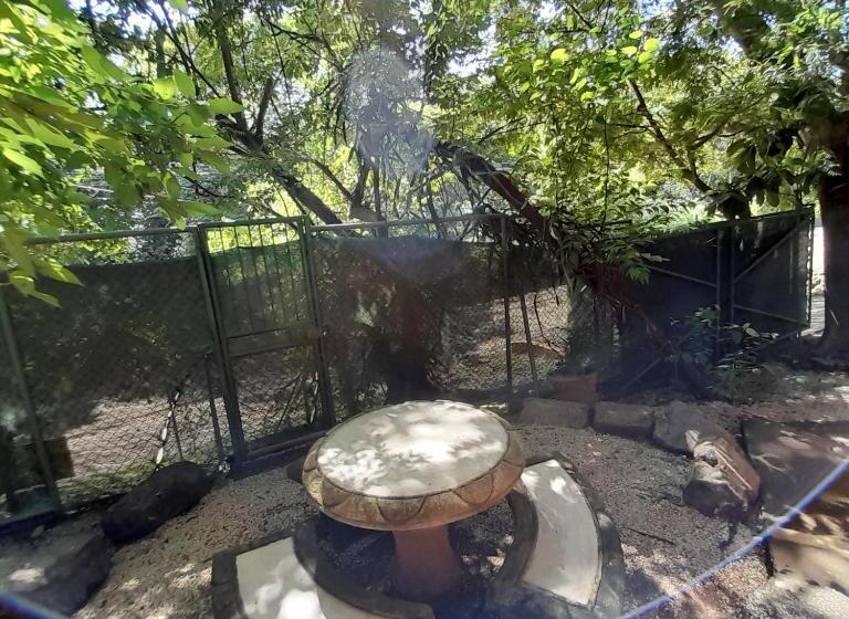 标准三人间, Cabinas La Playa