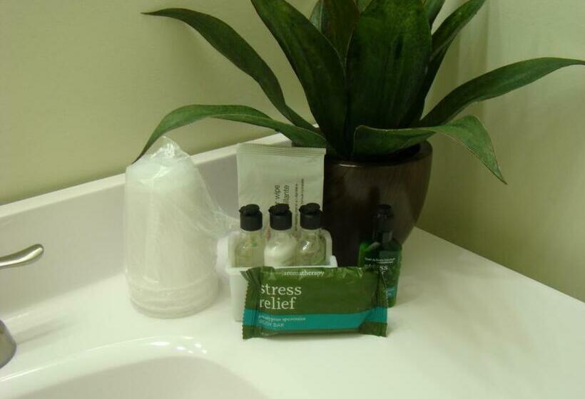 غرفة قياسية, Paddock Inn