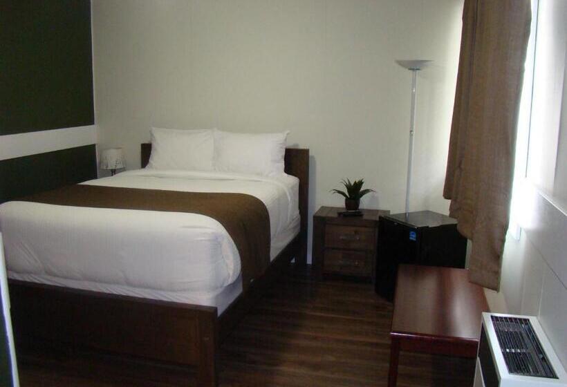 غرفة قياسية, Paddock Inn