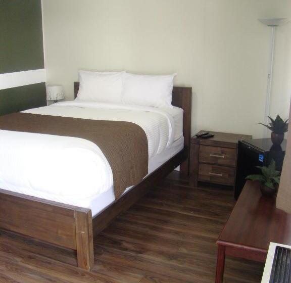 标准间, Paddock Inn