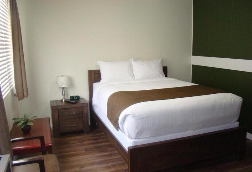 Standard Szoba, Paddock Inn