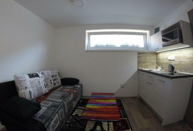 デラックススタジオ, Penzion U Hada