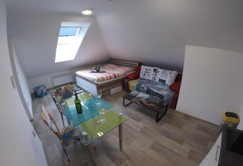 デラックススタジオ, Penzion U Hada