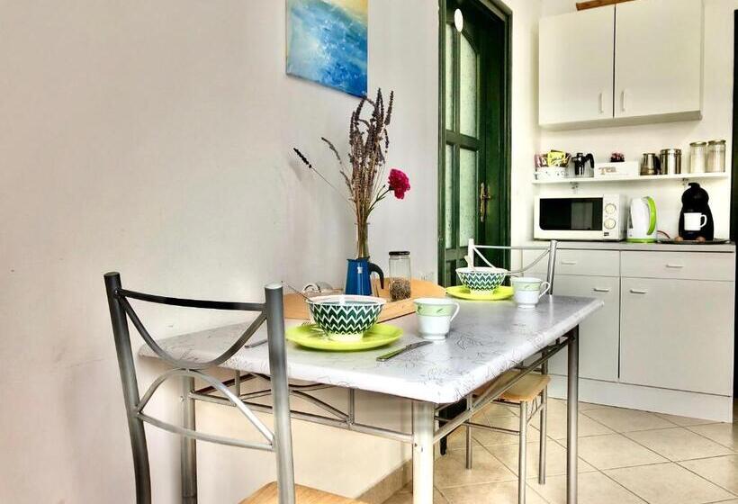 Номер Стандарт Вид на Сад, Vazul Vendégház