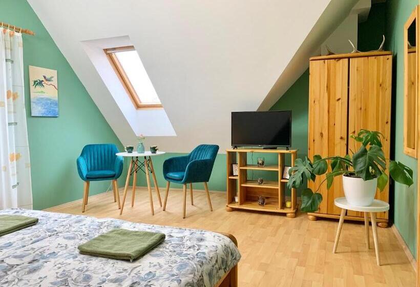 Номер Стандарт Вид на Сад, Vazul Vendégház