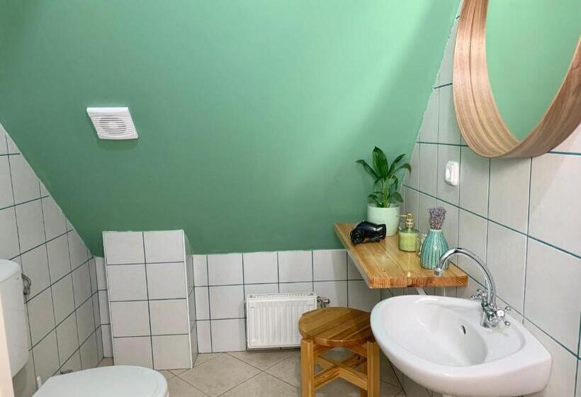 Студия Deluxe, Vazul Vendégház