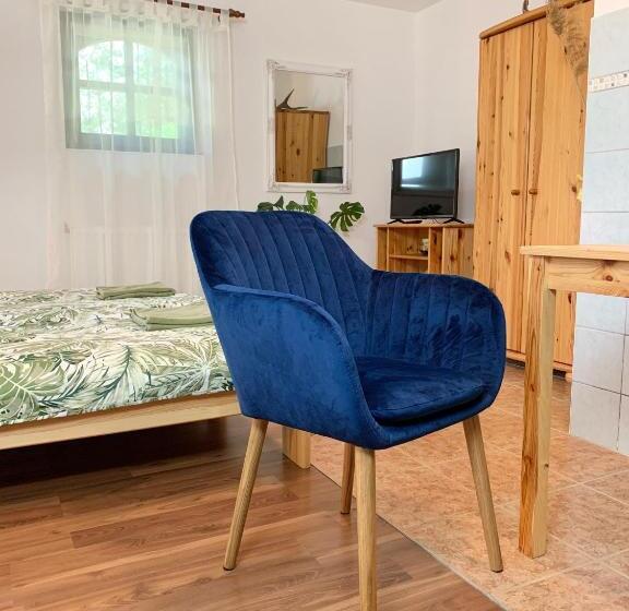 Апартаменты 1 Спальня, Vazul Vendégház