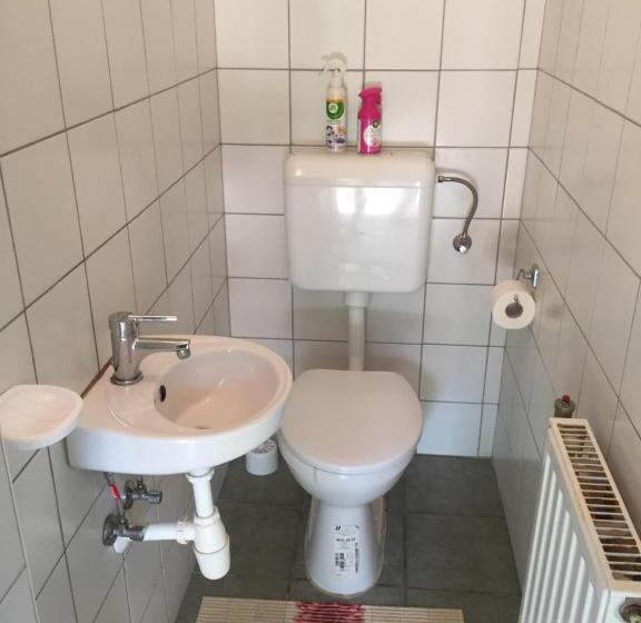 Апартаменты 1 Спальня, Vazul Vendégház