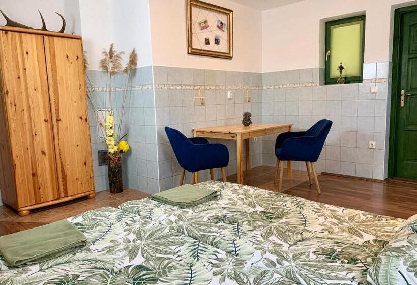 Апартаменты 1 Спальня, Vazul Vendégház