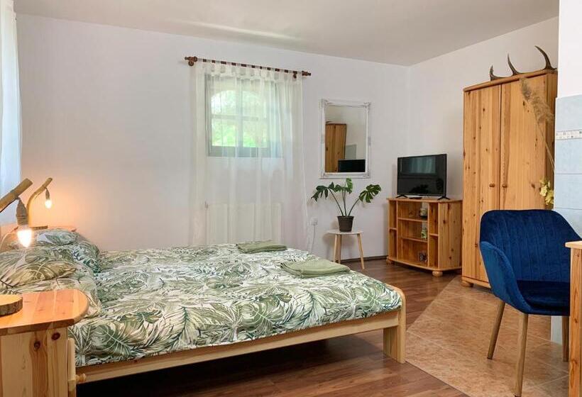 Апартаменты 1 Спальня, Vazul Vendégház