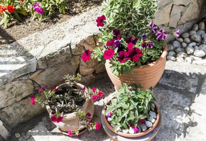 측면 바다 전망 기본 룸, Cina Apartments