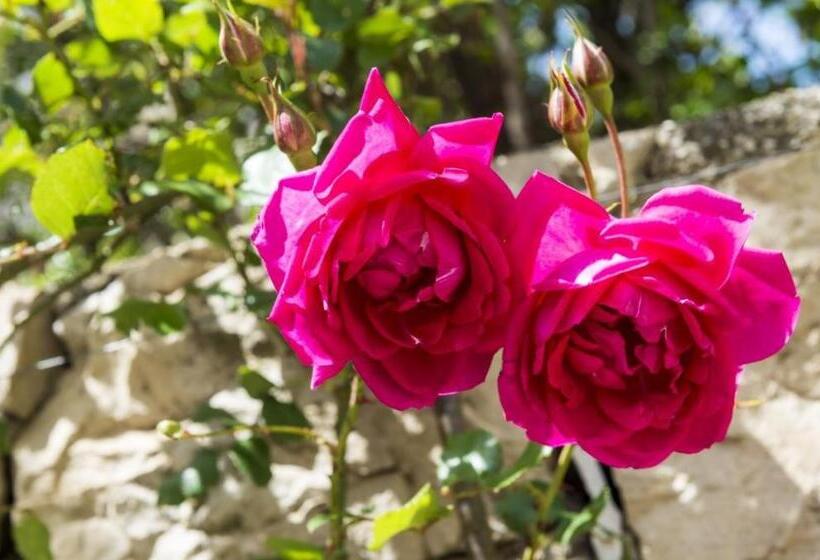 기본룸, Cina Apartments