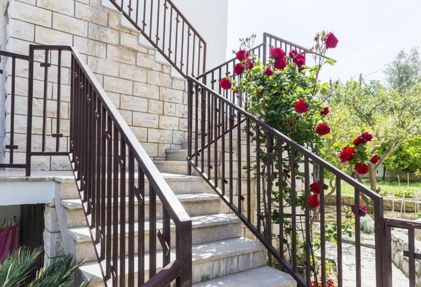 기본룸, Cina Apartments