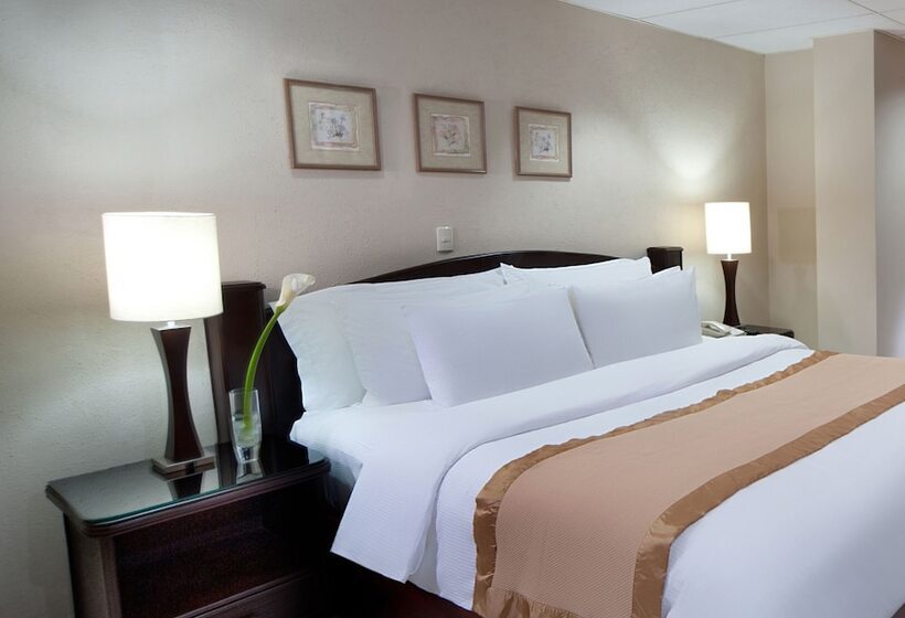 سوییت جونیور, Hodelpa Centro Plaza