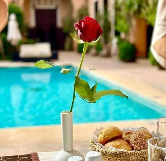 اتاق استاندارد با چشم‌انداز, Les Jardins De La Koutoubia