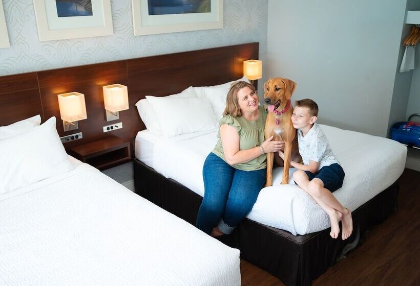 带2个双人床的标准工作室, Rodd Moncton