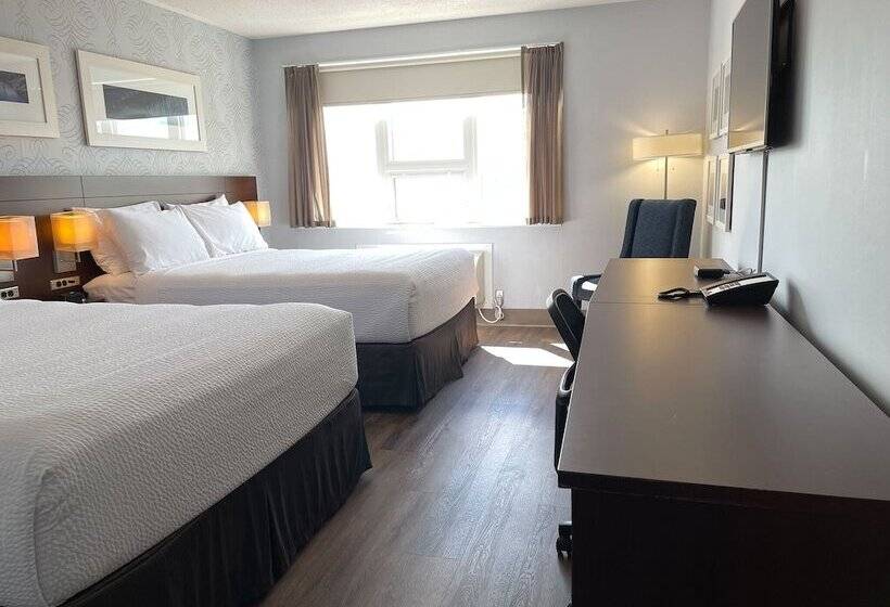 带2个双人床的标准工作室, Rodd Moncton