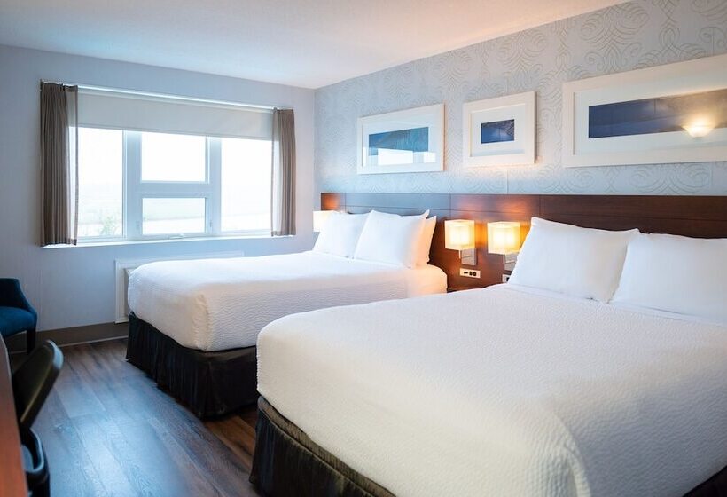 带2个双人床的标准工作室, Rodd Moncton