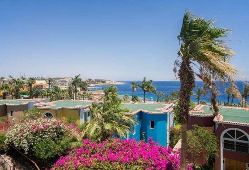 Standard Room King Size Bed, Savoy Sharm El Sheikh