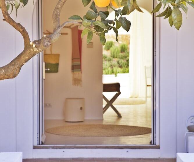 豪华套房, Octant Vila Monte