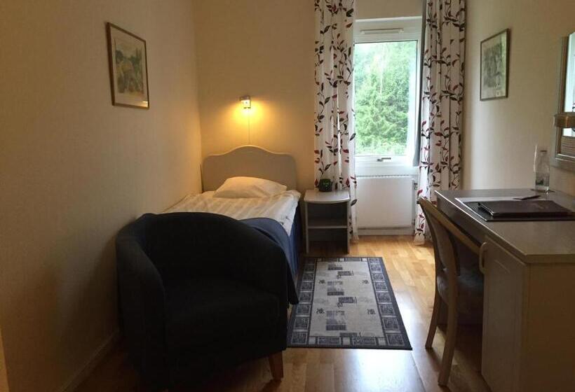 Номер Стандарт Индивидуальный, Hindåsgården Hotel & Spa