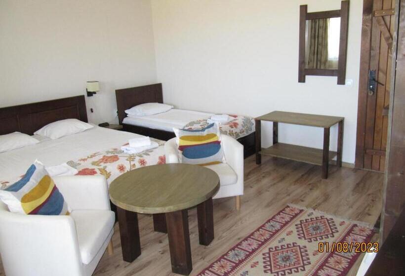 스탠다드 트리플 발코니 룸, Guest House Belchin View
