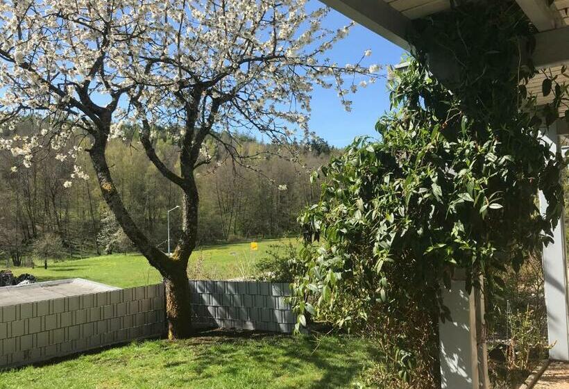 Номер Стандарт с Террасой, Pension Liesbachtal Direkt Am Waldrand Bayerische Rhön