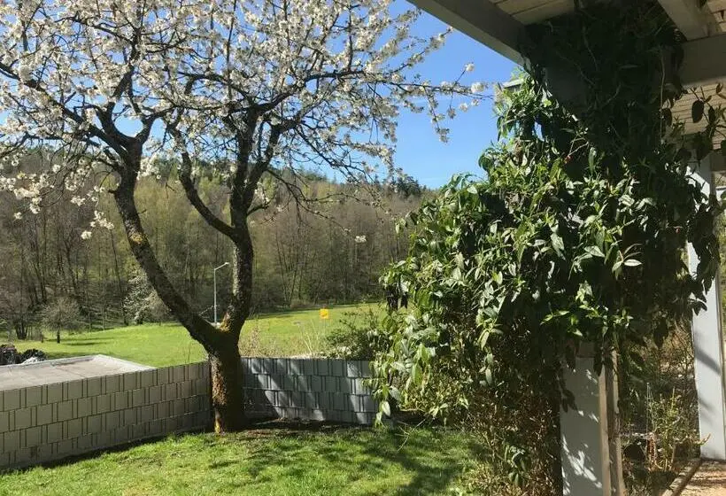 テラス付きスタンダードルーム, Pension Liesbachtal Direkt Am Waldrand Bayerische Rhön