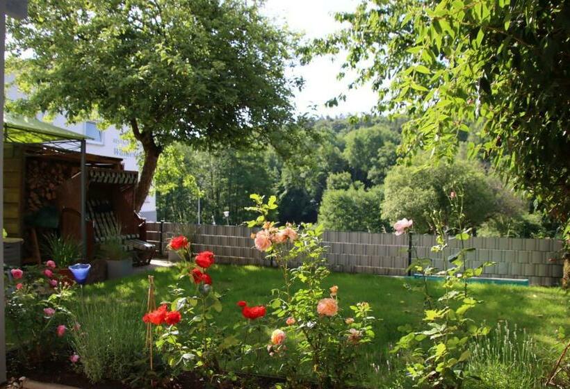 Номер Стандарт с Террасой, Pension Liesbachtal Direkt Am Waldrand Bayerische Rhön