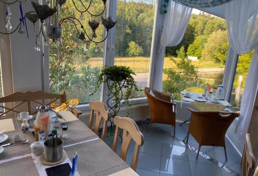 Номер Стандарт с Террасой, Pension Liesbachtal Direkt Am Waldrand Bayerische Rhön