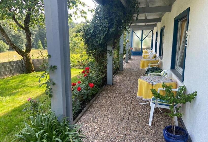 Номер Стандарт с Террасой, Pension Liesbachtal Direkt Am Waldrand Bayerische Rhön
